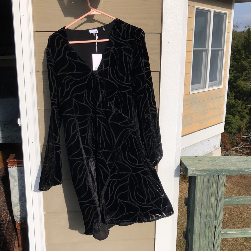 NWT Ecru Waterhouse velvet burnout dress